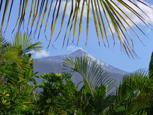 Teide