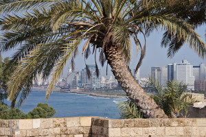 A View from Jaffa