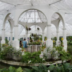orchid house