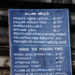 mango tree sign