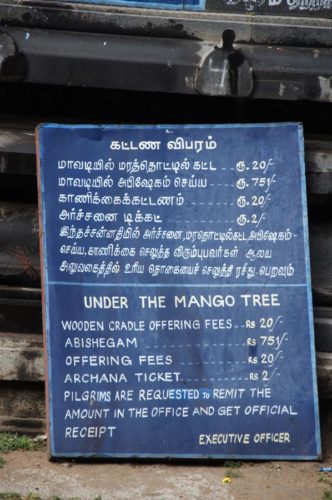 mango tree sign
