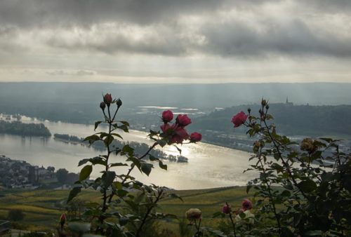 view of the Rhine