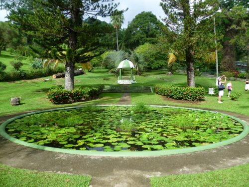 botanic garden