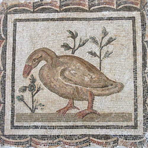 bardo duck mosaic