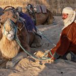 camel herder