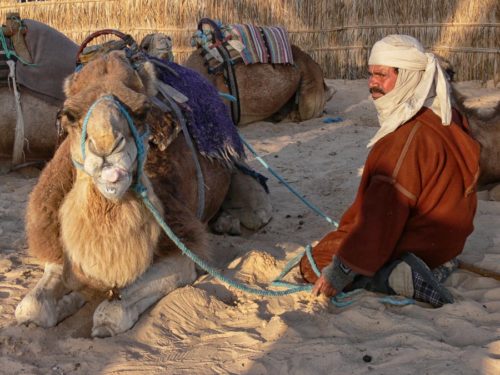 camel herder