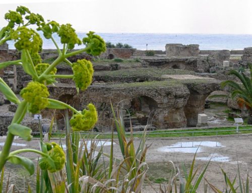 view of Carthage