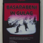 Museum poster