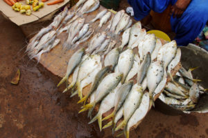 Serekunda Market