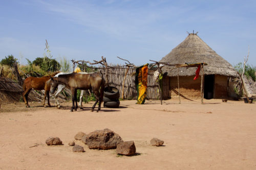 Gambian village