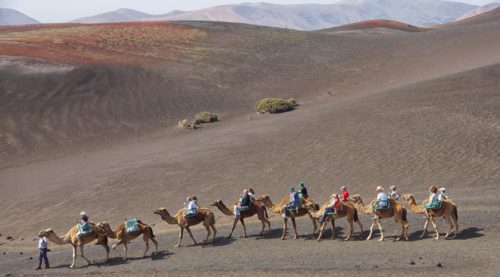 camel trek